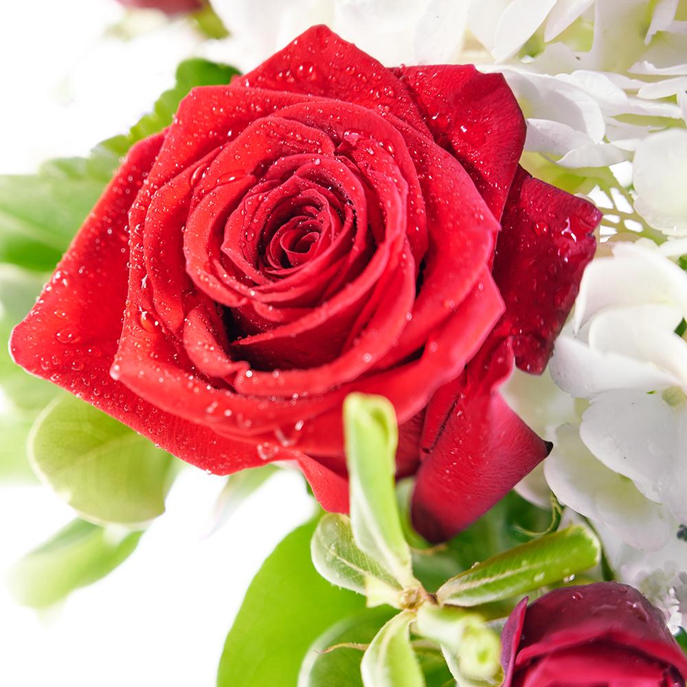Rose & Hydrangea Vase with Wine - Heart & Thorn - Canada flower delivery