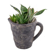 Sitting Pretty Succulent Pitcher - Heart & Thorn - Canada plant delivery
