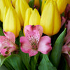 Spring Radiance Mixed Bouquet - Heart & Thorn - Canada flower delivery
