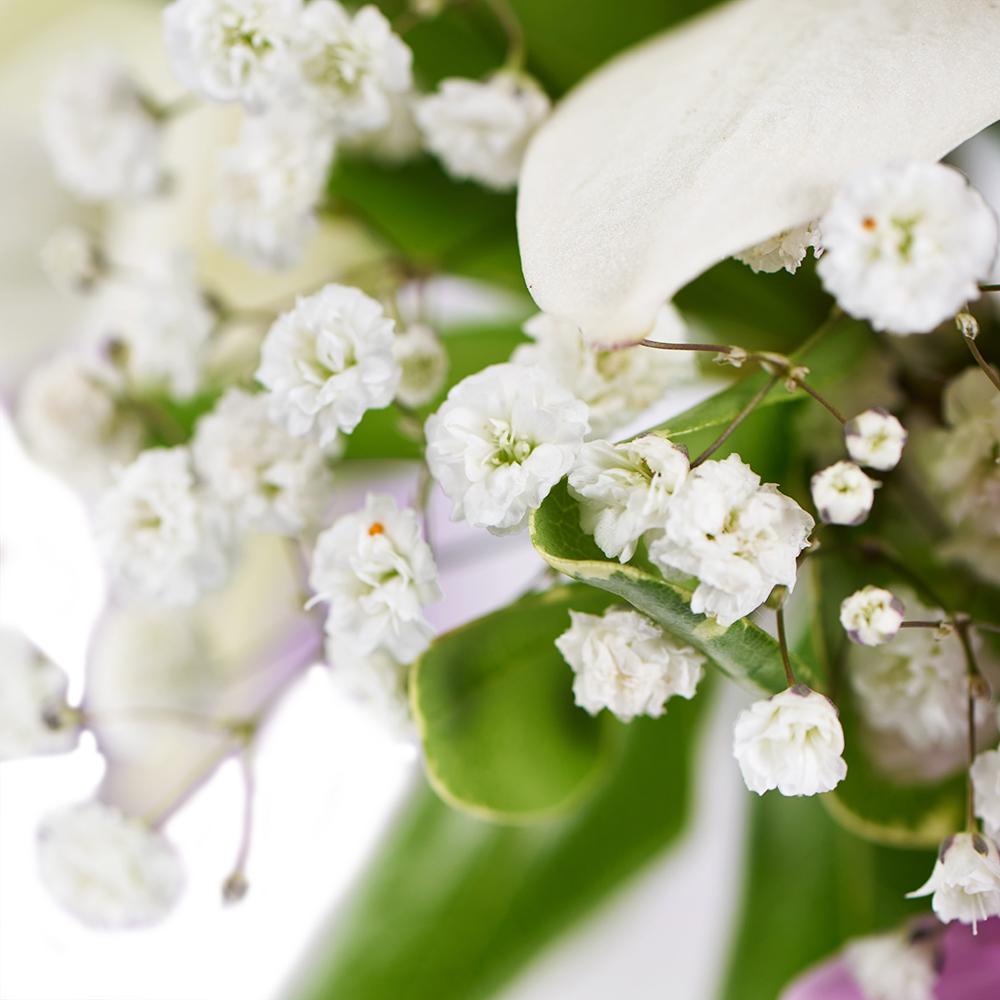 Spring Rose & Lily Arrangement - Heart & Thorn - Canada flower delivery