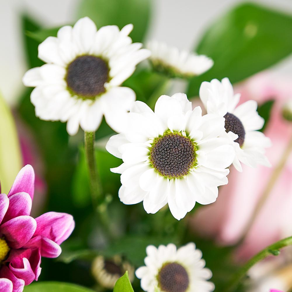 Suddenly Spring Mother's Day Floral Gift - Heart & Thorn - Canada flower delivery