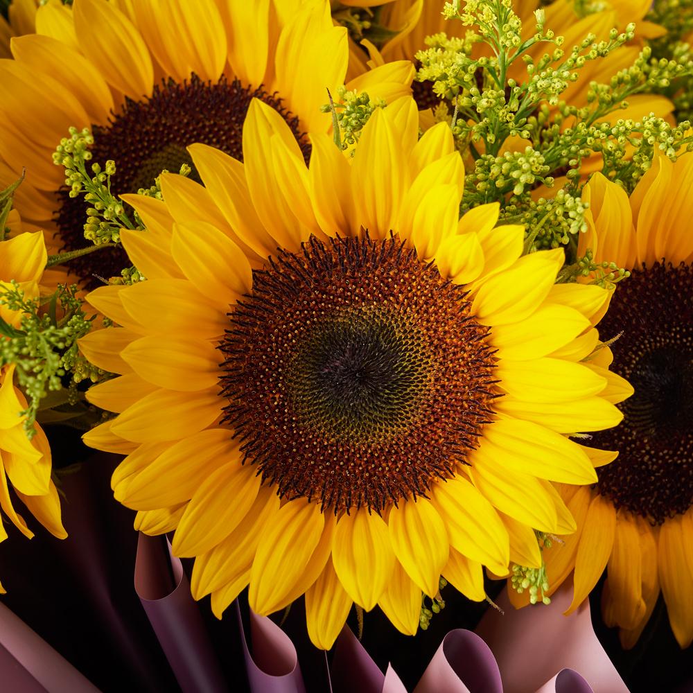 Summer Glory Sunflower Bouquet - Heart & Thorn - Canada flower delivery