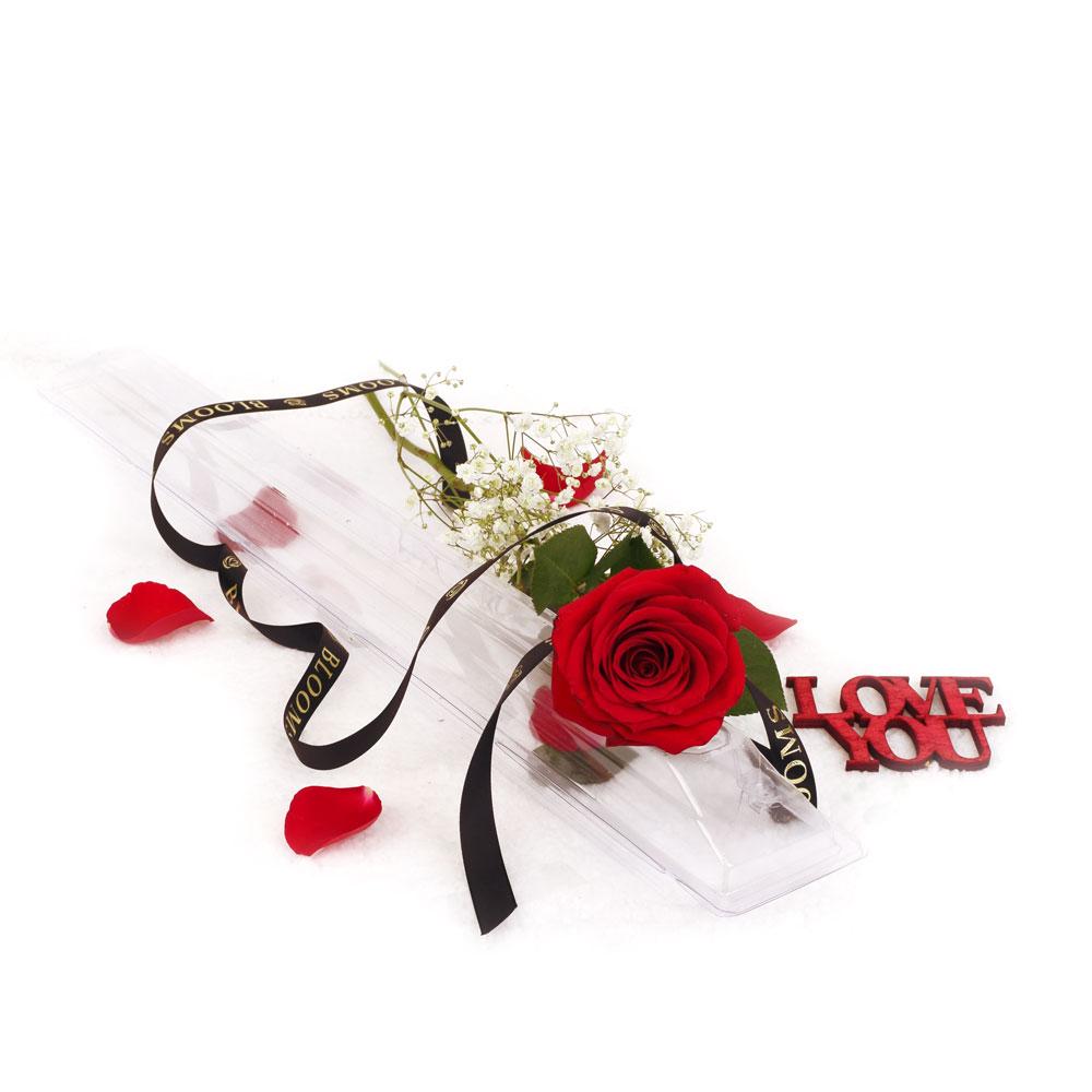 Valentine's Day Single Red Rose - Heart &amp; Thorn - Canada flower delivery