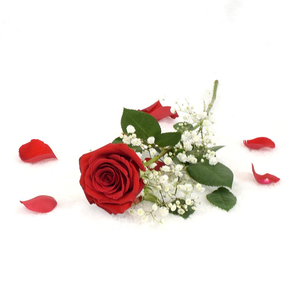 Valentine's Day Single Red Rose - Heart & Thorn - Canada flower delivery