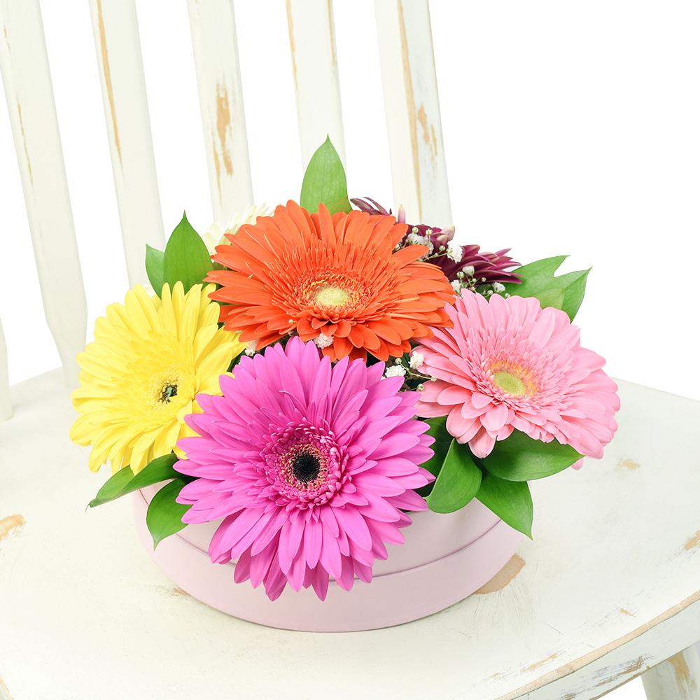 Vivacious Daisy Arrangement - Heart &amp; Thorn - Canada flower delivery