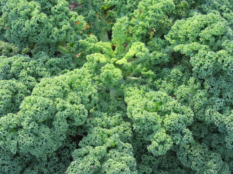 Two-Tiered Chocolate Dipped Strawberries