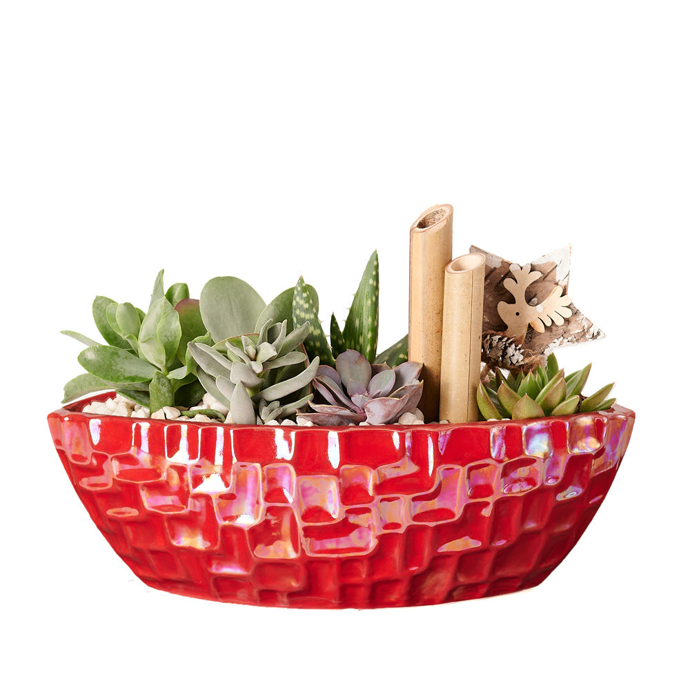 christmas, Mixed Floral Arrangement, Floral Arrangement, Floral Gift, holiday, Set 23990-2021, floral holiday delivery, delivery holiday floral, christmas flowers canada, canada christmas flowers, Canada