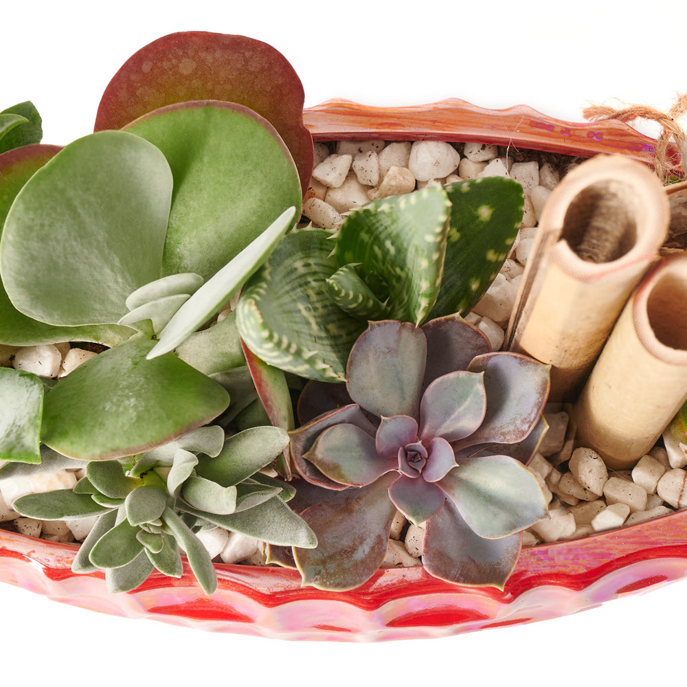 christmas, Mixed Floral Arrangement, Floral Arrangement, Floral Gift, holiday, Set 23990-2021, floral holiday delivery, delivery holiday floral, christmas flowers canada, canada christmas flowers, Canada